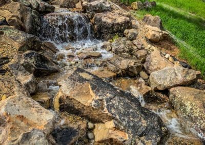 Southern Greenscapes Landscape Design & Construction | Fort Mill, Tega Cay, Rock Hill, Lake Wylie, Clover. Indian Land, Waxhaw, Weddington | pine moss lane