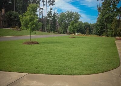 Southern Greenscapes Landscape Design & Construction | Rock Hill, SC | residential landscapes