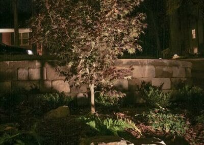 Southern Greenscapes Landscape Design & Construction | Rock Hill, SC | landscape lighting for trees