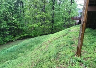 Southern Greenscapes Landscape Design & Construction | Rock Hill, SC | before work