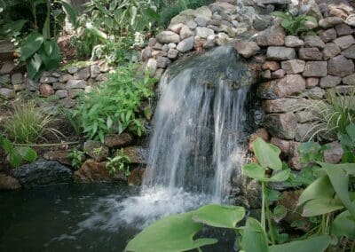 Southern Greenscapes Landscape Design & Construction | Rock Hill, SC | water features